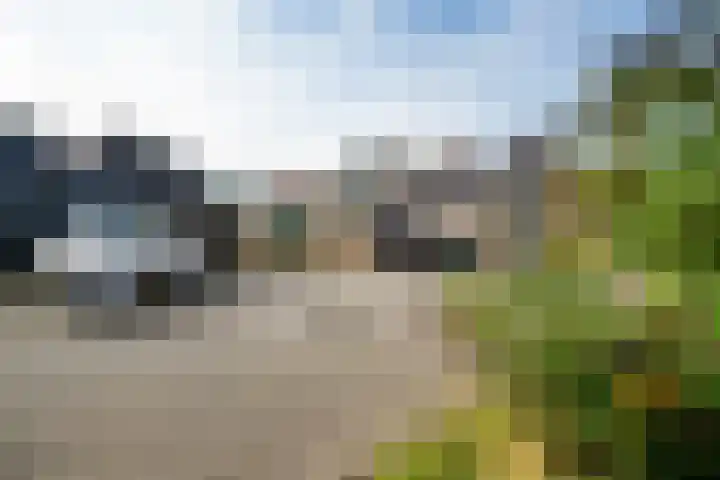 Beatrixlaan 125 Den Burg thumbnail 29
