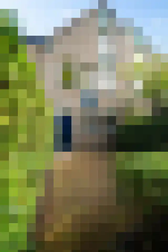 Beatrixlaan 125 Den Burg thumbnail 4