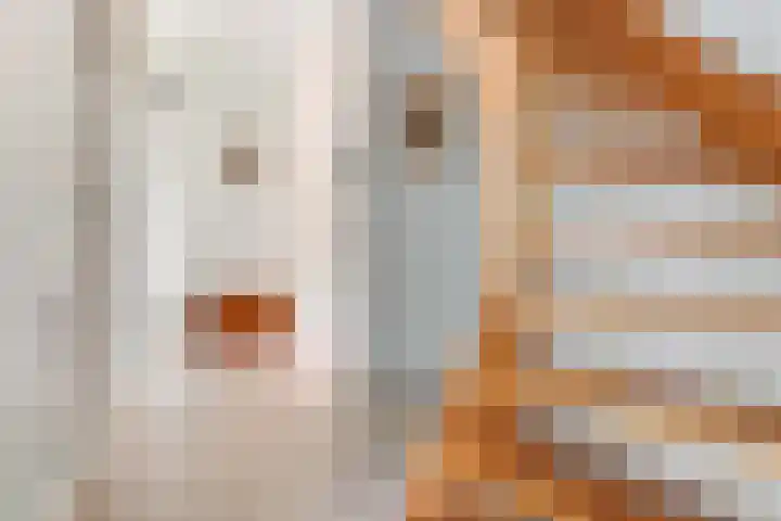 Beatrixlaan 13 Akersloot thumbnail 23