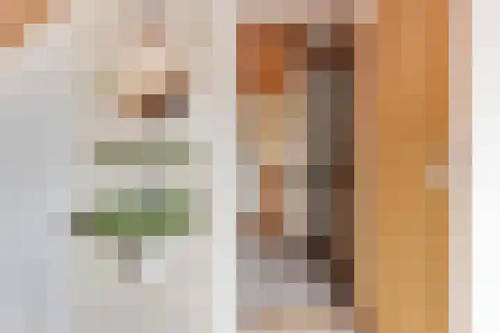 Beatrixlaan 13 Akersloot thumbnail 27