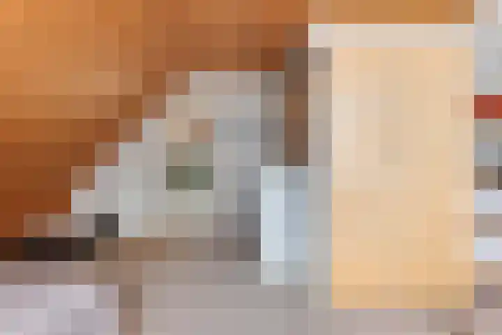 Beatrixlaan 13 Akersloot thumbnail 31