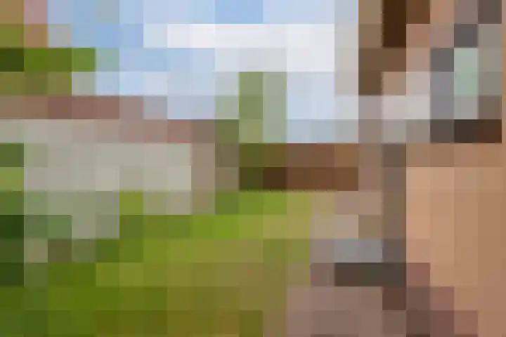 Beatrixlaan 13 Akersloot thumbnail 32
