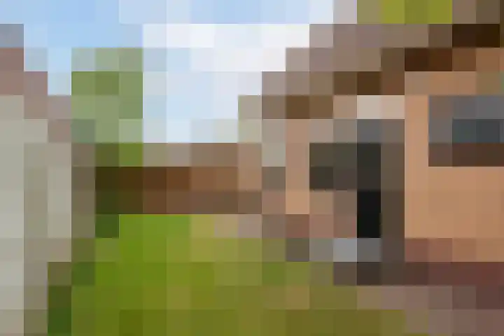 Beatrixlaan 13 Akersloot thumbnail 33