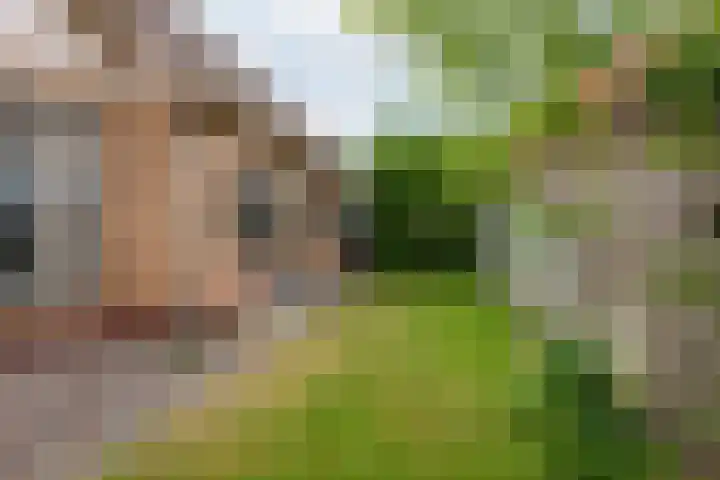 Beatrixlaan 13 Akersloot thumbnail 36
