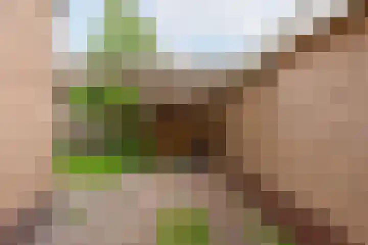 Beatrixlaan 13 Akersloot thumbnail 37