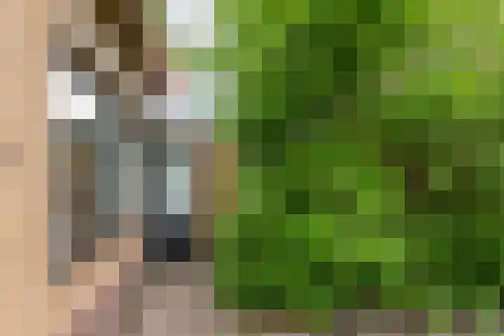 Beatrixlaan 13 Akersloot thumbnail 38