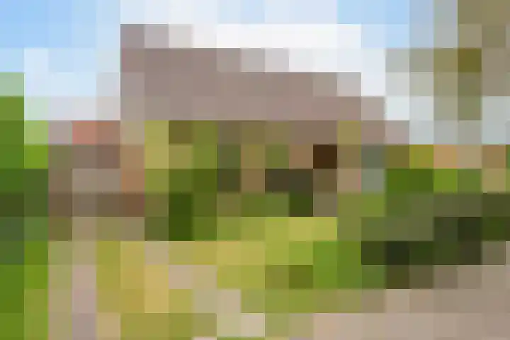 Beatrixlaan 13 Akersloot thumbnail 4