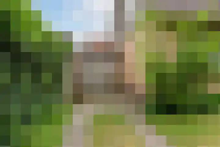 Beatrixlaan 13 Akersloot thumbnail 41