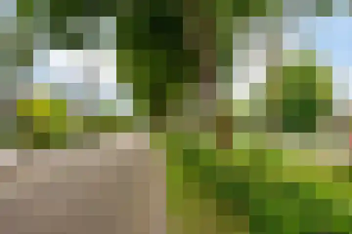 Beatrixlaan 13 Akersloot thumbnail 43