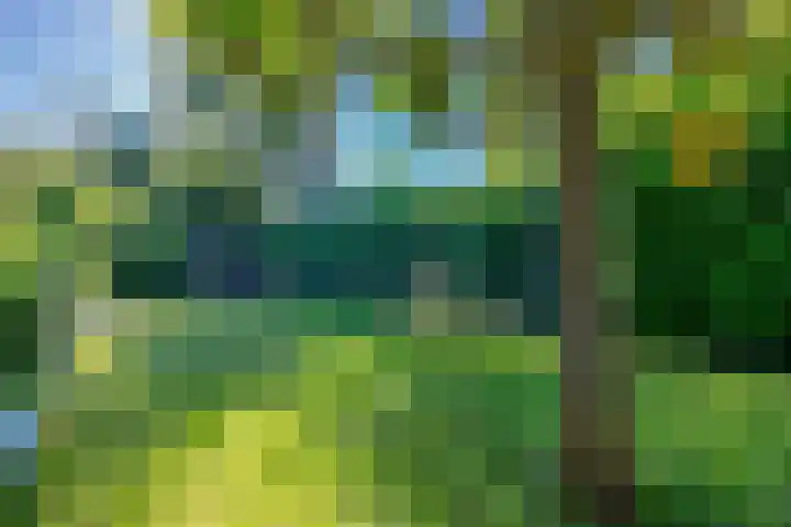 Beatrixlaan 13 Dalem thumbnail 14