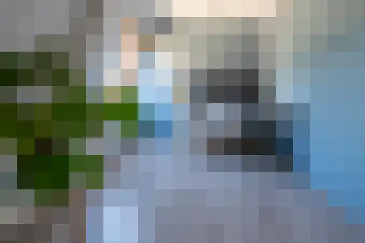 Beatrixlaan 13 Dalem thumbnail 20