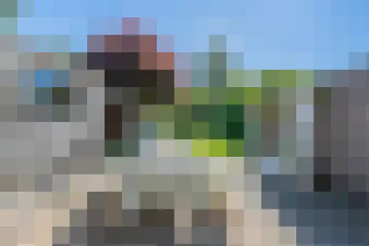 Beatrixlaan 13 Dalem thumbnail 5