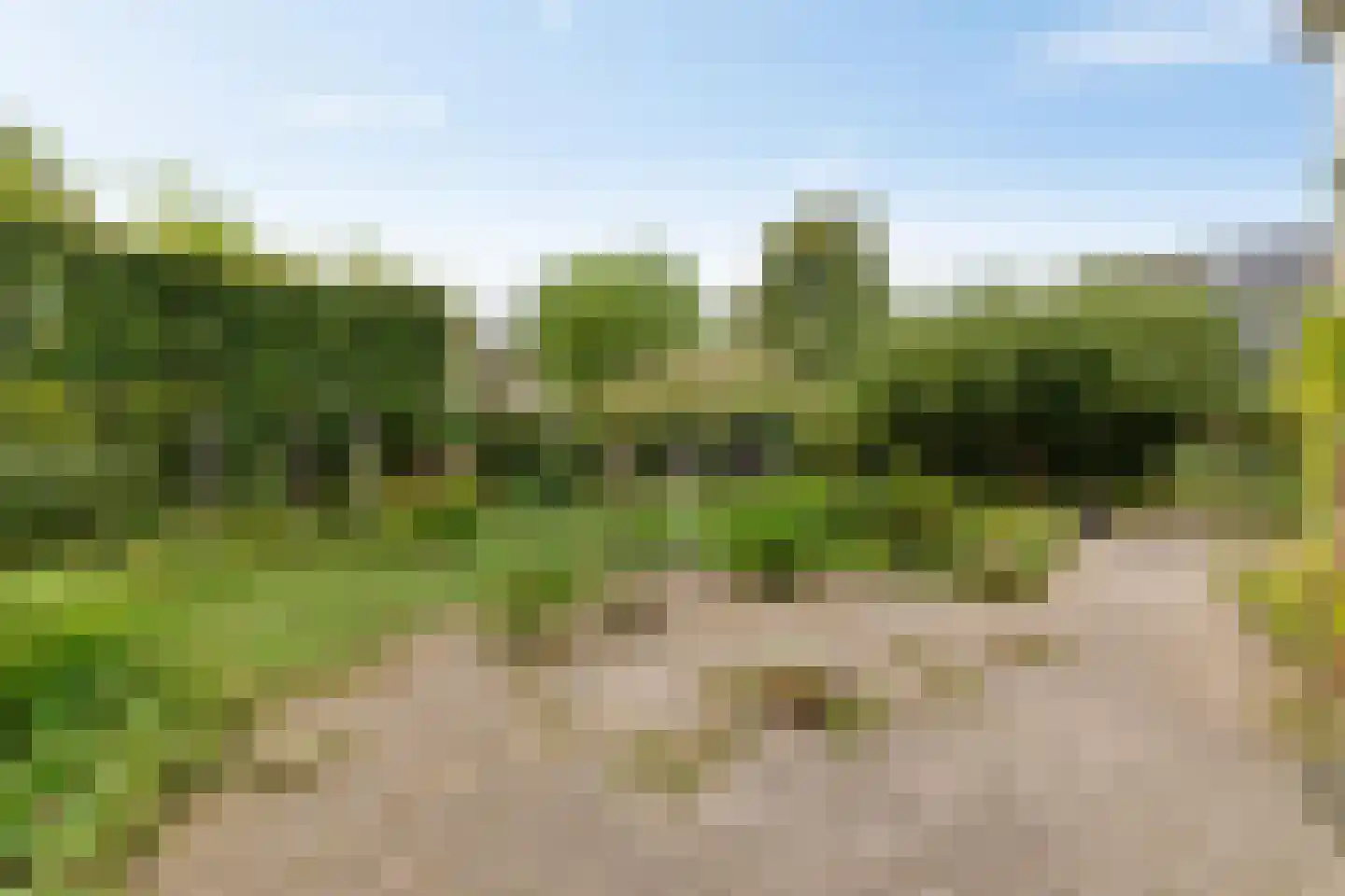 Beatrixlaan 13 Haren Gn thumbnail 36