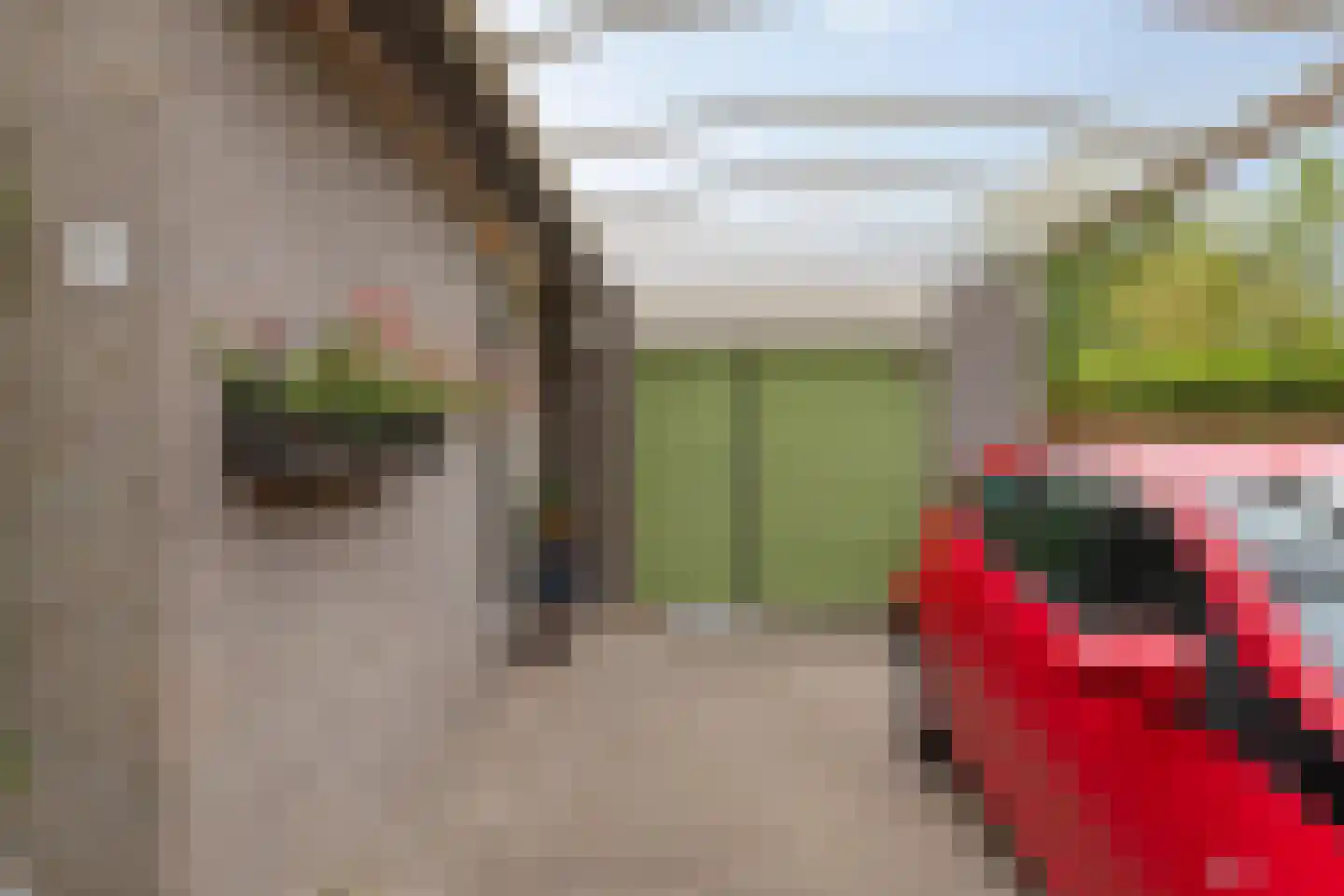 Beatrixlaan 13 Haren Gn thumbnail 7