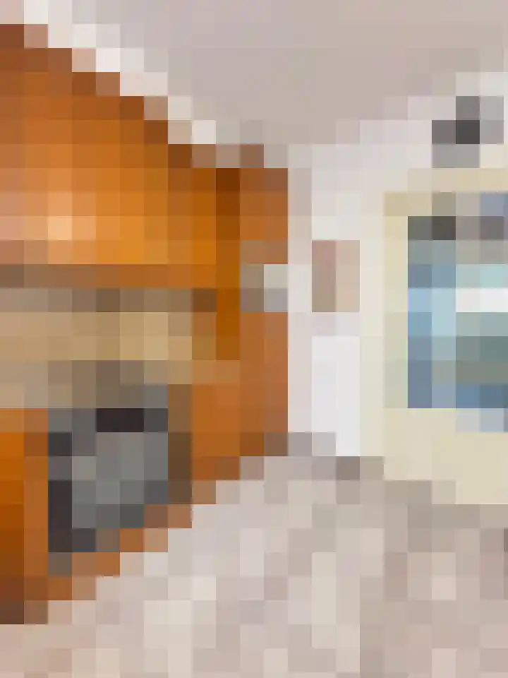 Beatrixlaan 13 Roermond thumbnail 13