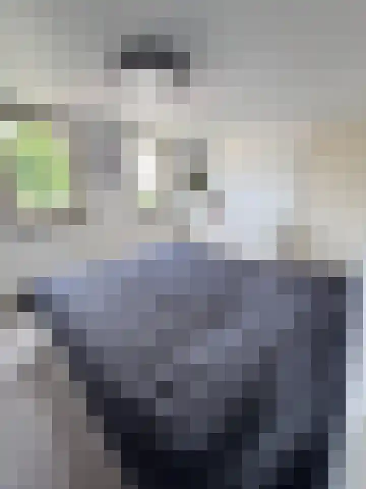 Beatrixlaan 13 Roermond thumbnail 15