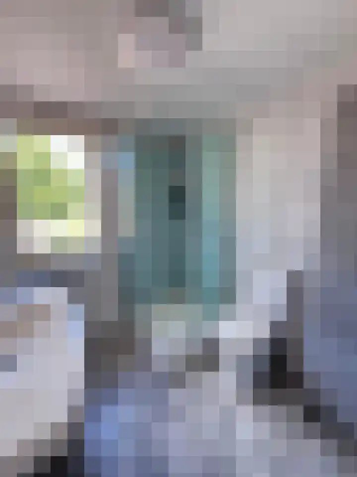 Beatrixlaan 13 Roermond thumbnail 30