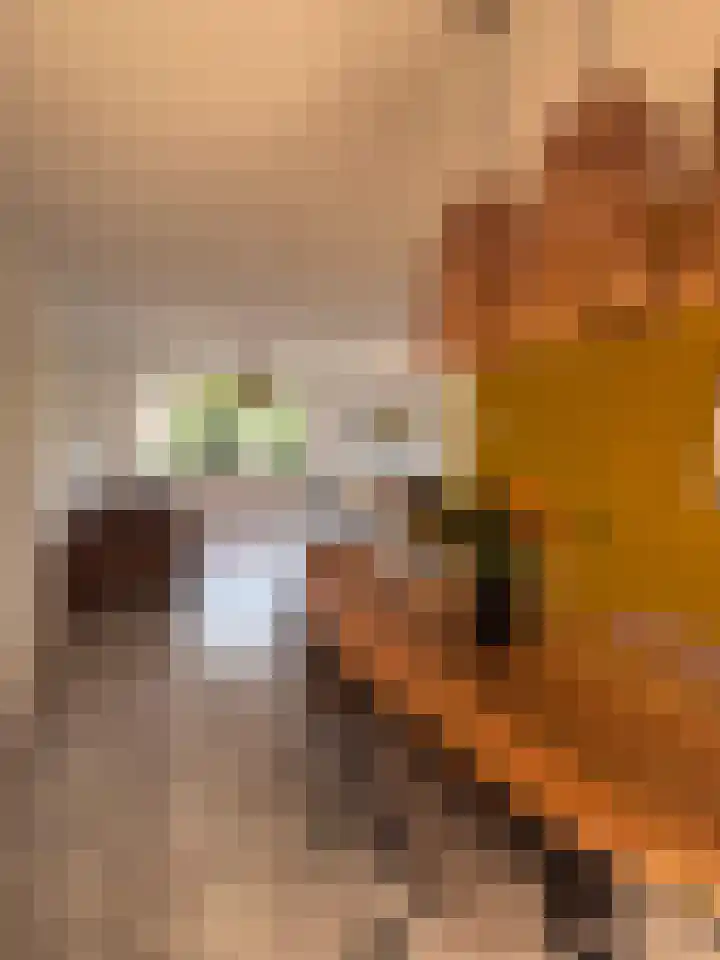 Beatrixlaan 13 Roermond thumbnail 5