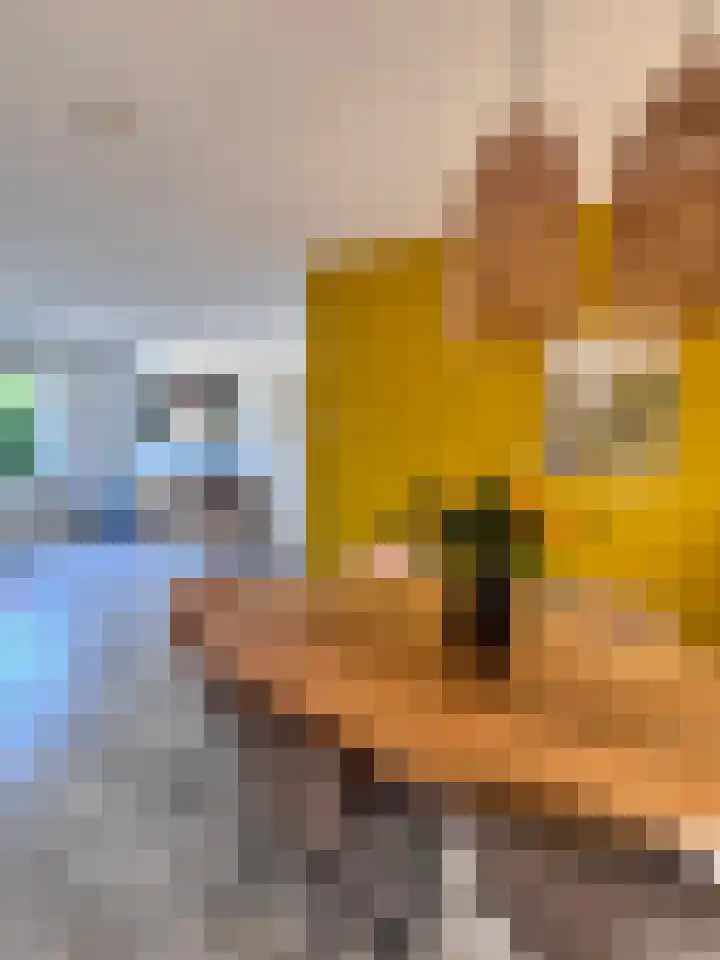 Beatrixlaan 13 Roermond thumbnail 8