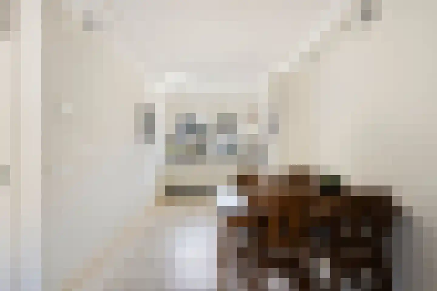 Beatrixlaan 14 Asten thumbnail 5