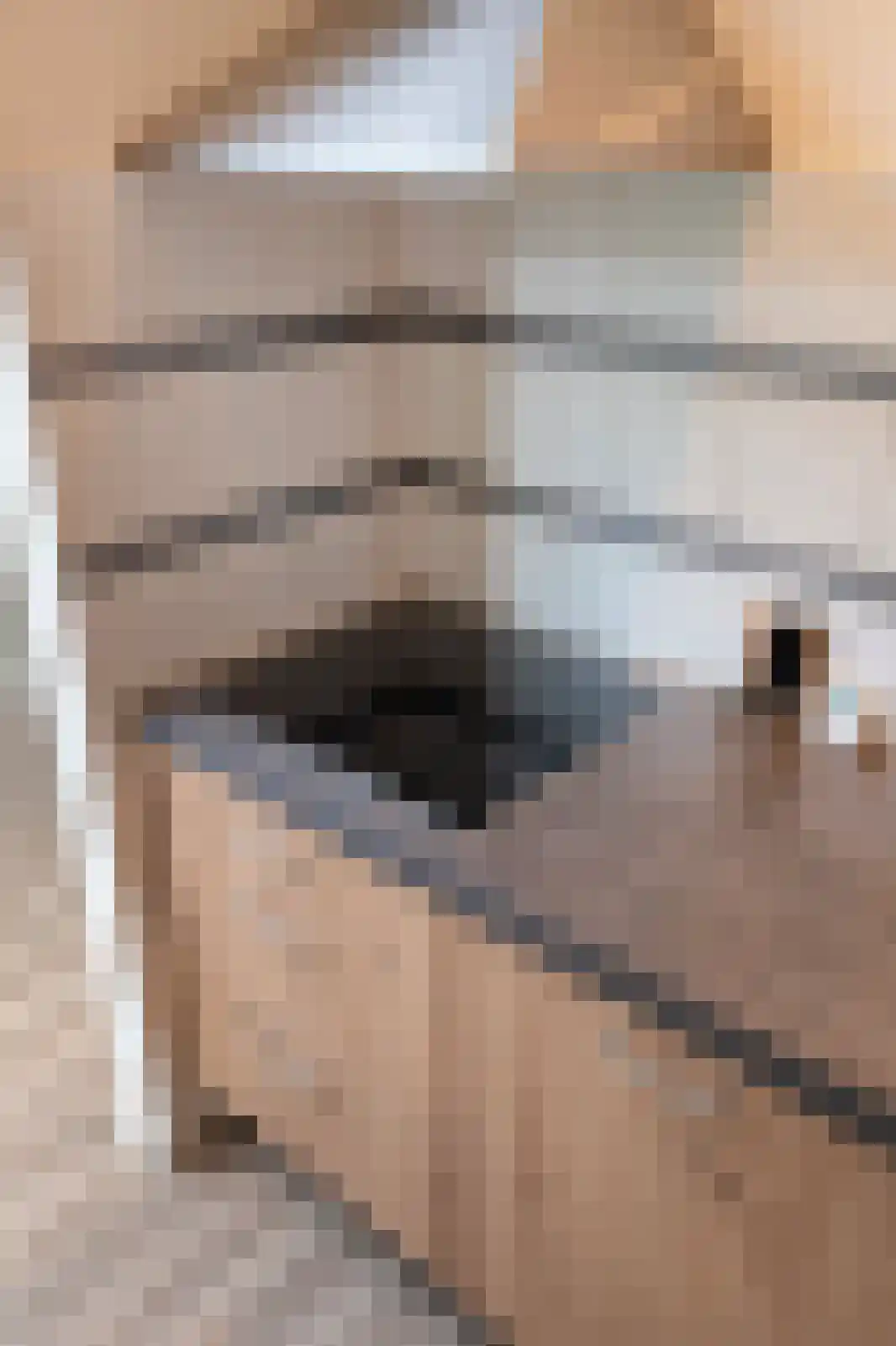 Beatrixlaan 14 't Veld thumbnail 28