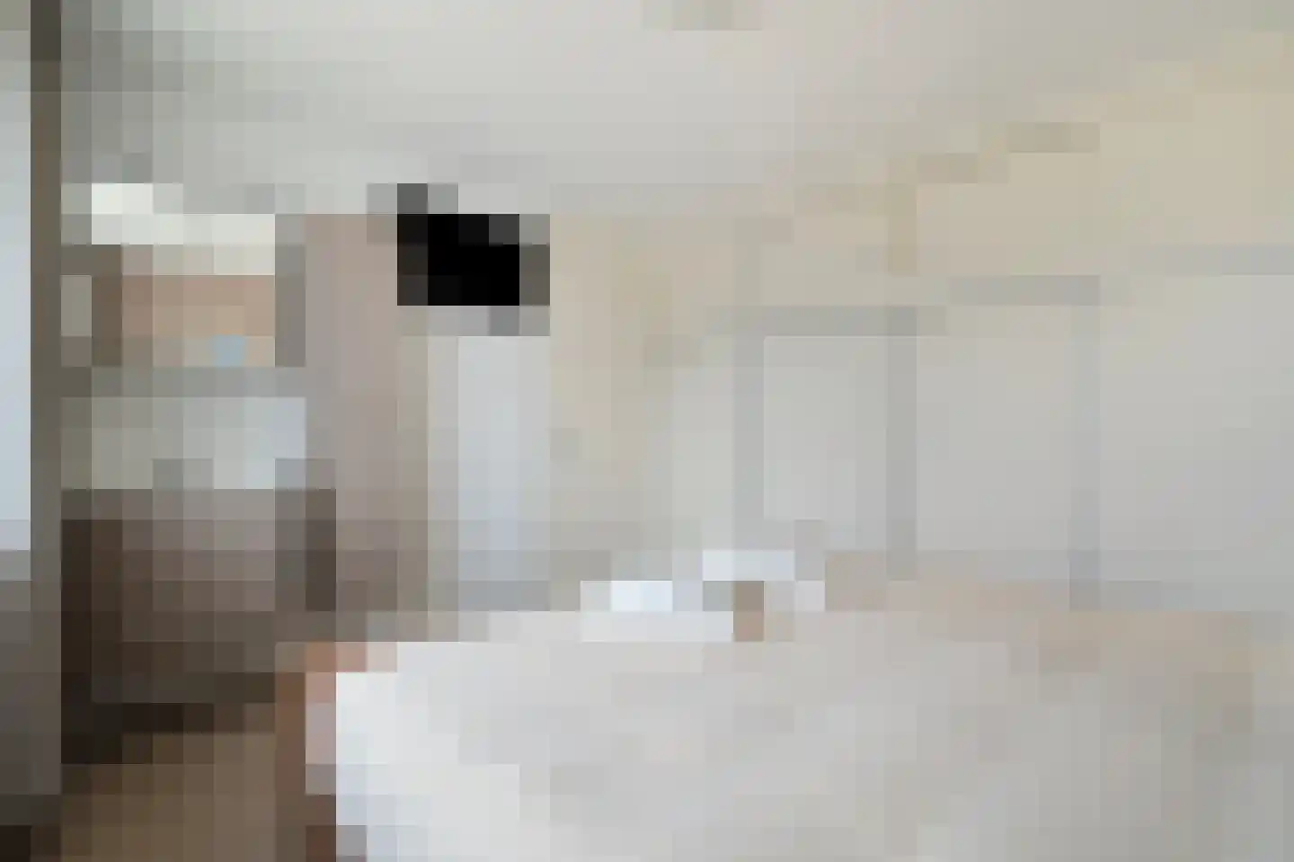 Beatrixlaan 14 't Veld thumbnail 43