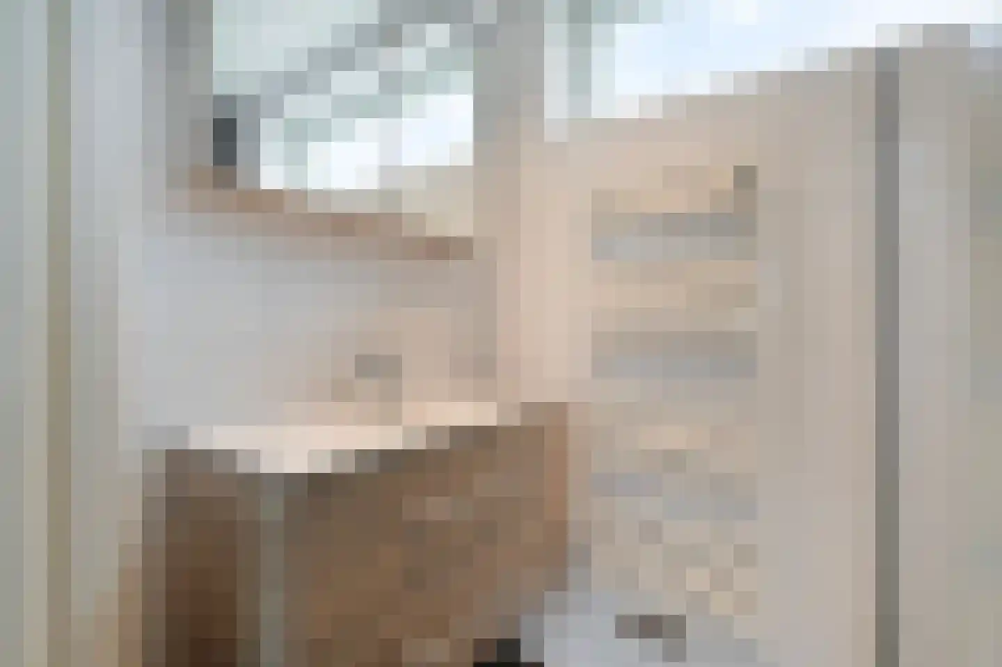 Beatrixlaan 14 't Veld thumbnail 50