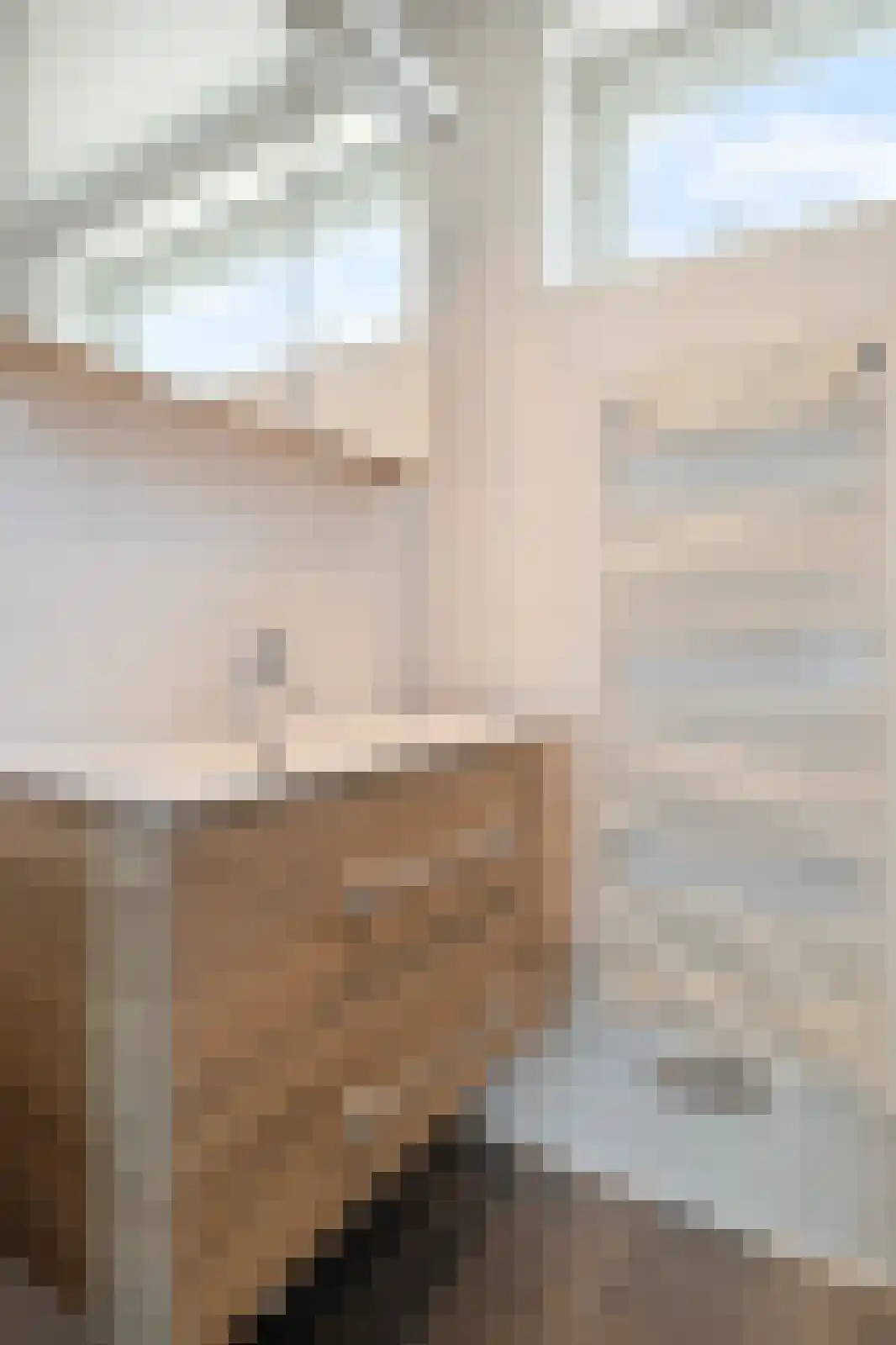 Beatrixlaan 14 't Veld thumbnail 53