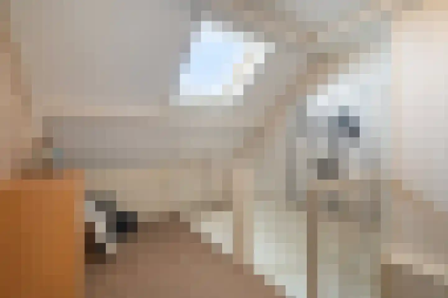 Beatrixlaan 14 't Veld thumbnail 56