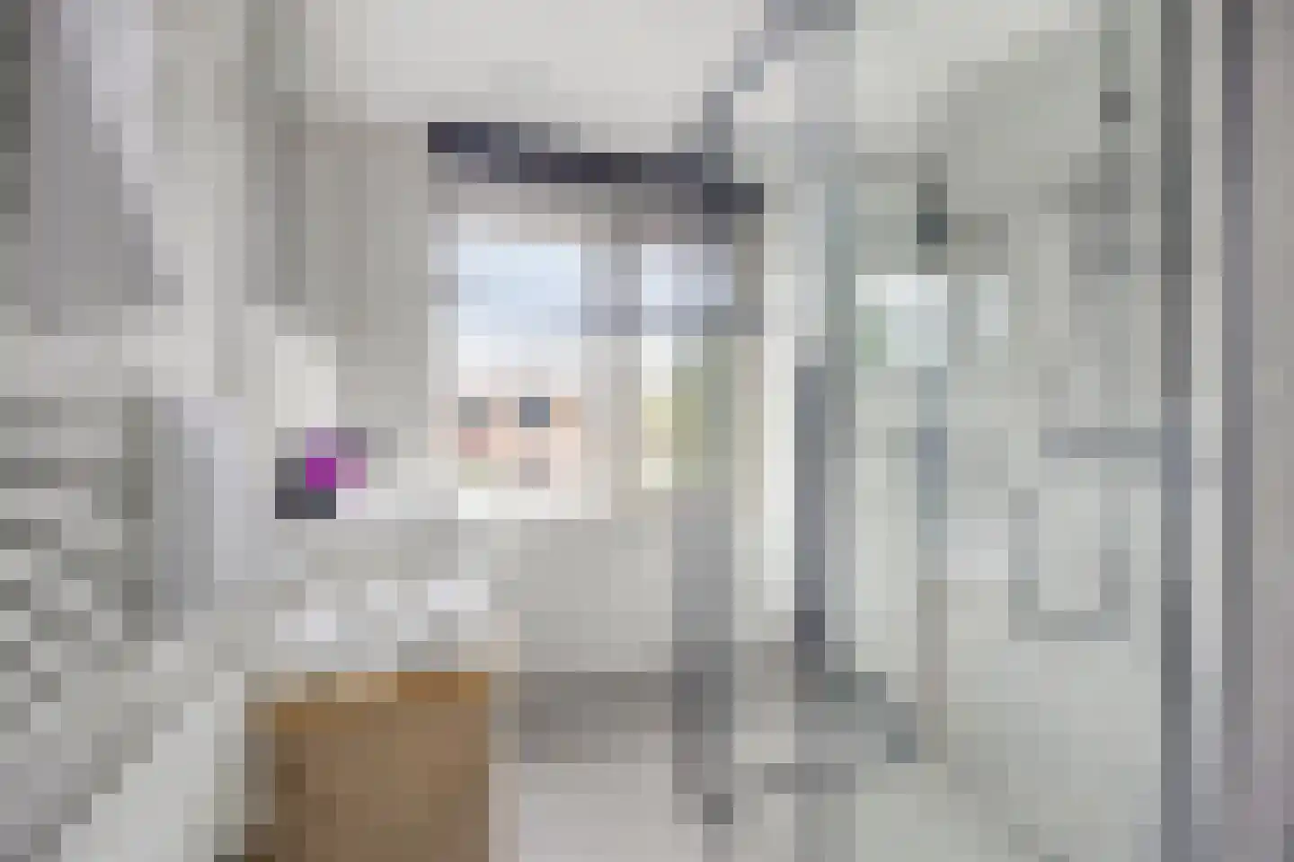 Beatrixlaan 15 Monnickendam thumbnail 21