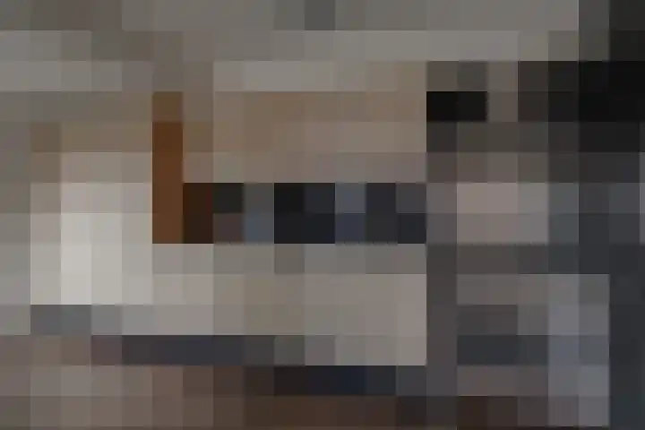Beatrixlaan 15 Ruurlo thumbnail 4
