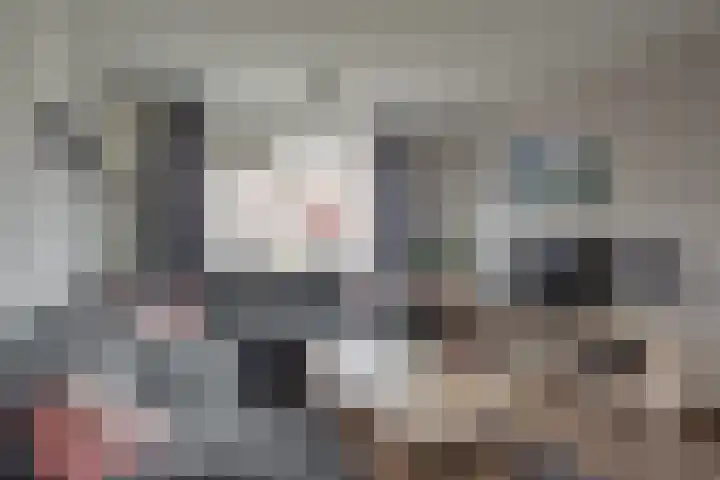 Beatrixlaan 15 Ruurlo thumbnail 7