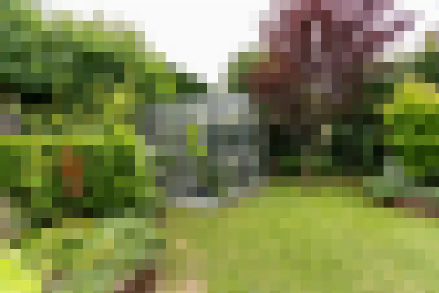 Beatrixlaan 16 Weert thumbnail 54