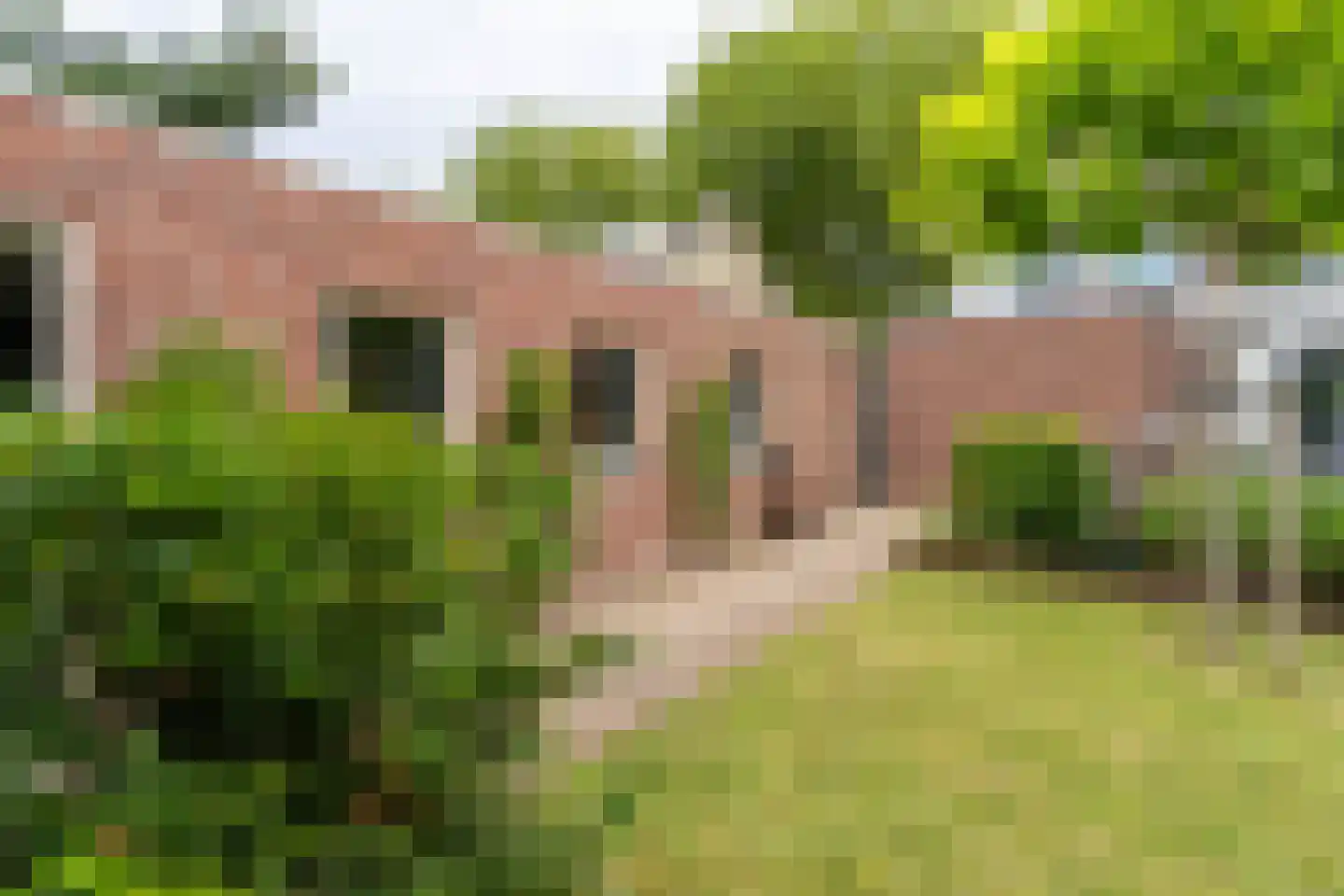 Beatrixlaan 16 Weert thumbnail 57
