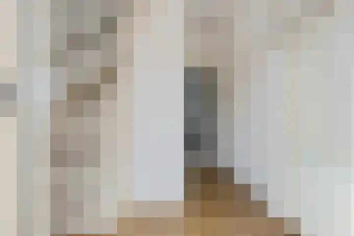 Beatrixlaan 17 Zuidbroek thumbnail 6