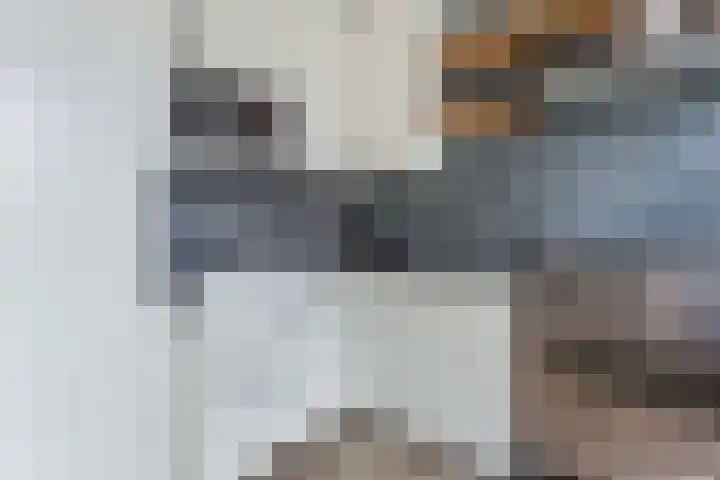 Beatrixlaan 18 Hoevelaken thumbnail 13
