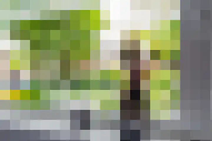 Beatrixlaan 18 Hoevelaken thumbnail 23