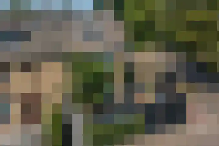 Beatrixlaan 18 Hoevelaken thumbnail 44