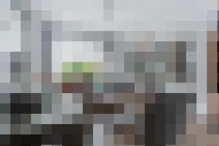 Beatrixlaan 18 Hoevelaken thumbnail 5