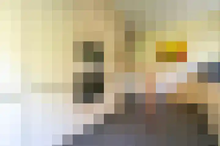 Beatrixlaan 2 Doorn thumbnail 18