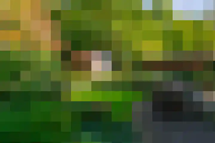 Beatrixlaan 2 Doorn thumbnail 31