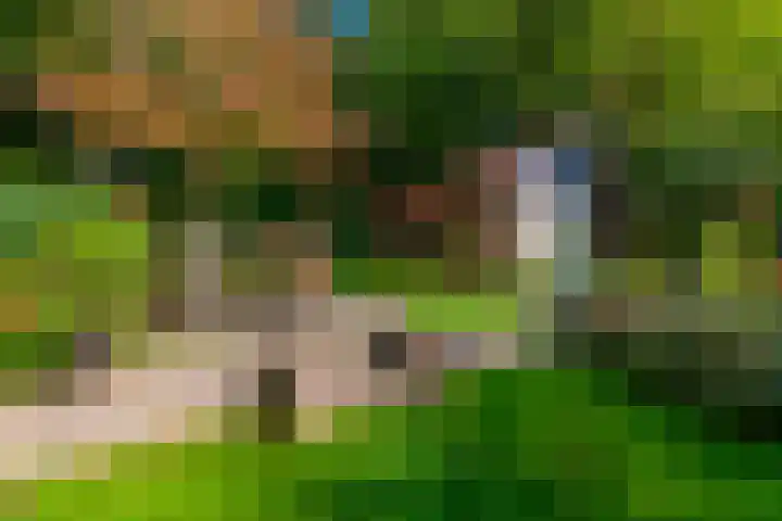 Beatrixlaan 2 Doorn thumbnail 35