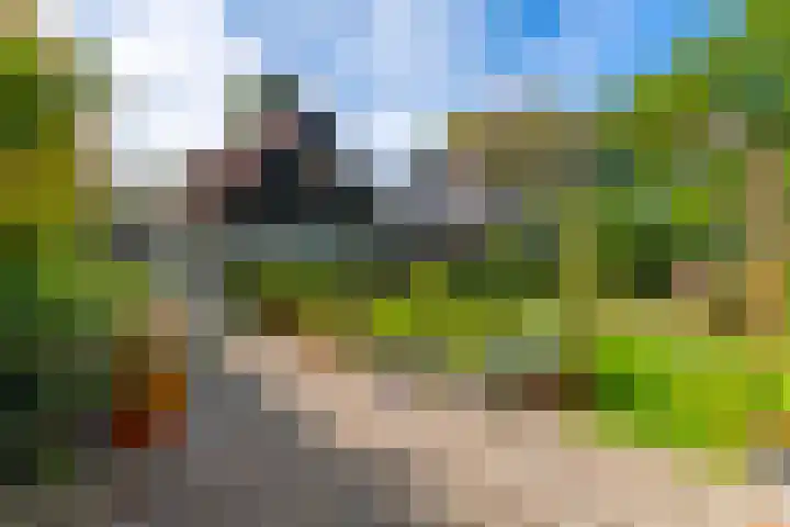 Beatrixlaan 2 Doorn thumbnail 40