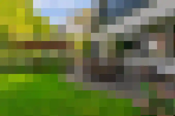 Beatrixlaan 2 Doorn thumbnail 43