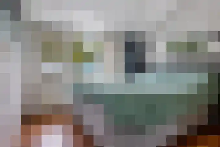 Beatrixlaan 2 Zuidbroek thumbnail 23