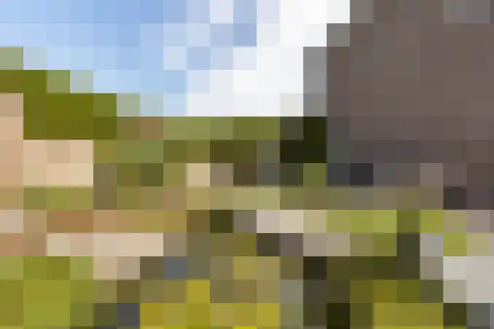 Beatrixlaan 2 Zuidbroek thumbnail 34