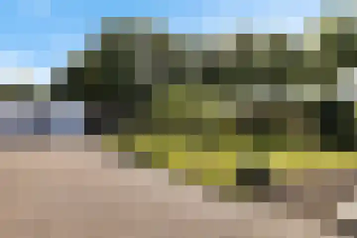 Beatrixlaan 2 Zuidbroek thumbnail 37