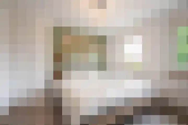 Beatrixlaan 21 Roermond thumbnail 13