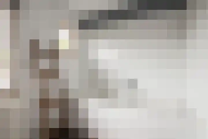 Beatrixlaan 21 Roermond thumbnail 17
