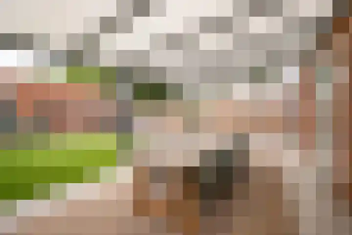 Beatrixlaan 21 Roermond thumbnail 23